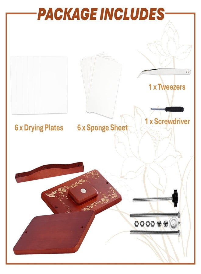 Nuvograin Large Flower Press Kit,Easy One-Step Wooden Plant Press,12.6 x 7.68 inch Flower Presser for Kids & Adults, Great for Thanksgiving & Christmas Gifts - Image 3
